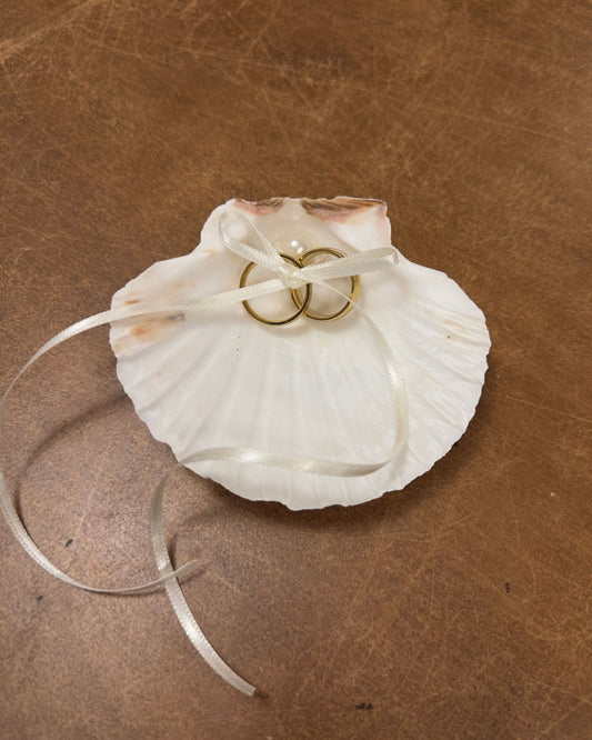 Porta alianças de concha com fitinha para amarrar as alianças, perfeito para casamento na praia